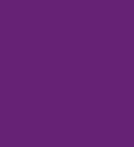 Pintura Monocapa - Púrpura - 138