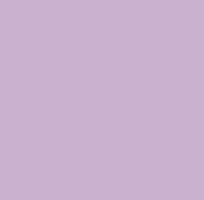Pintura Monocapa - Violeta Elegante - 110
